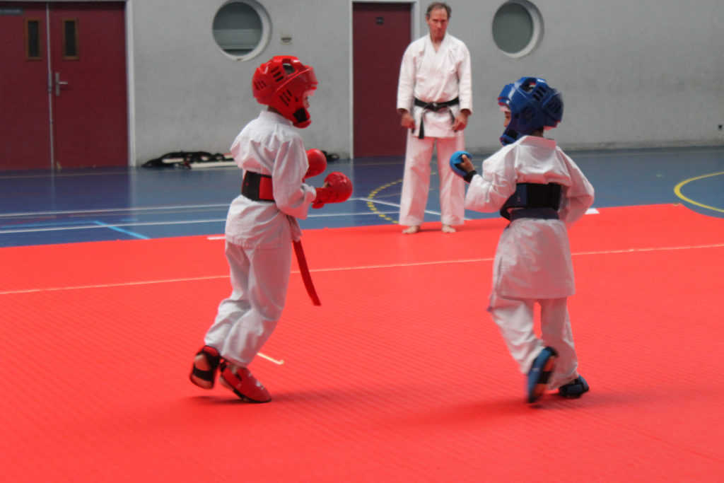 2ème Poule – 25.05.19 (15)