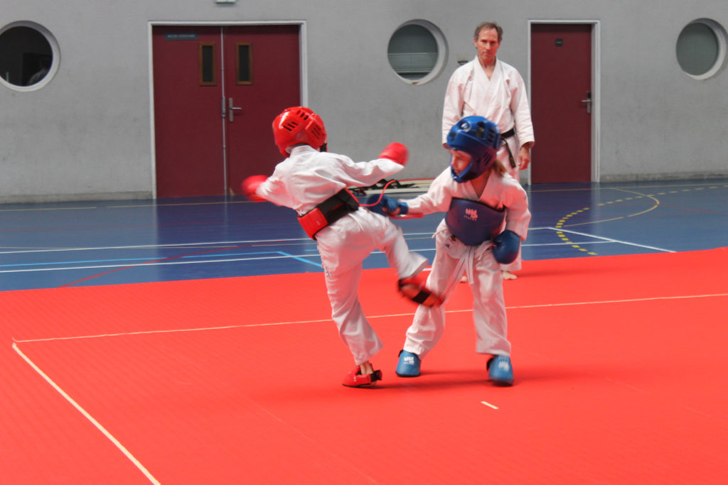 2ème Poule – 25.05.19 (37)